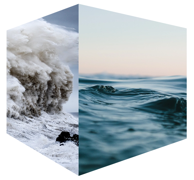 Storm to Calm | Praesta Executive coaching